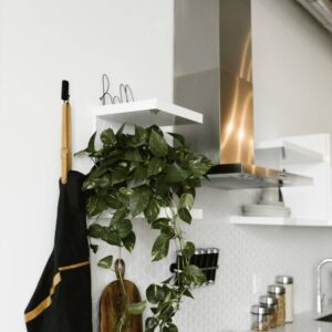 Home Organization Ideas